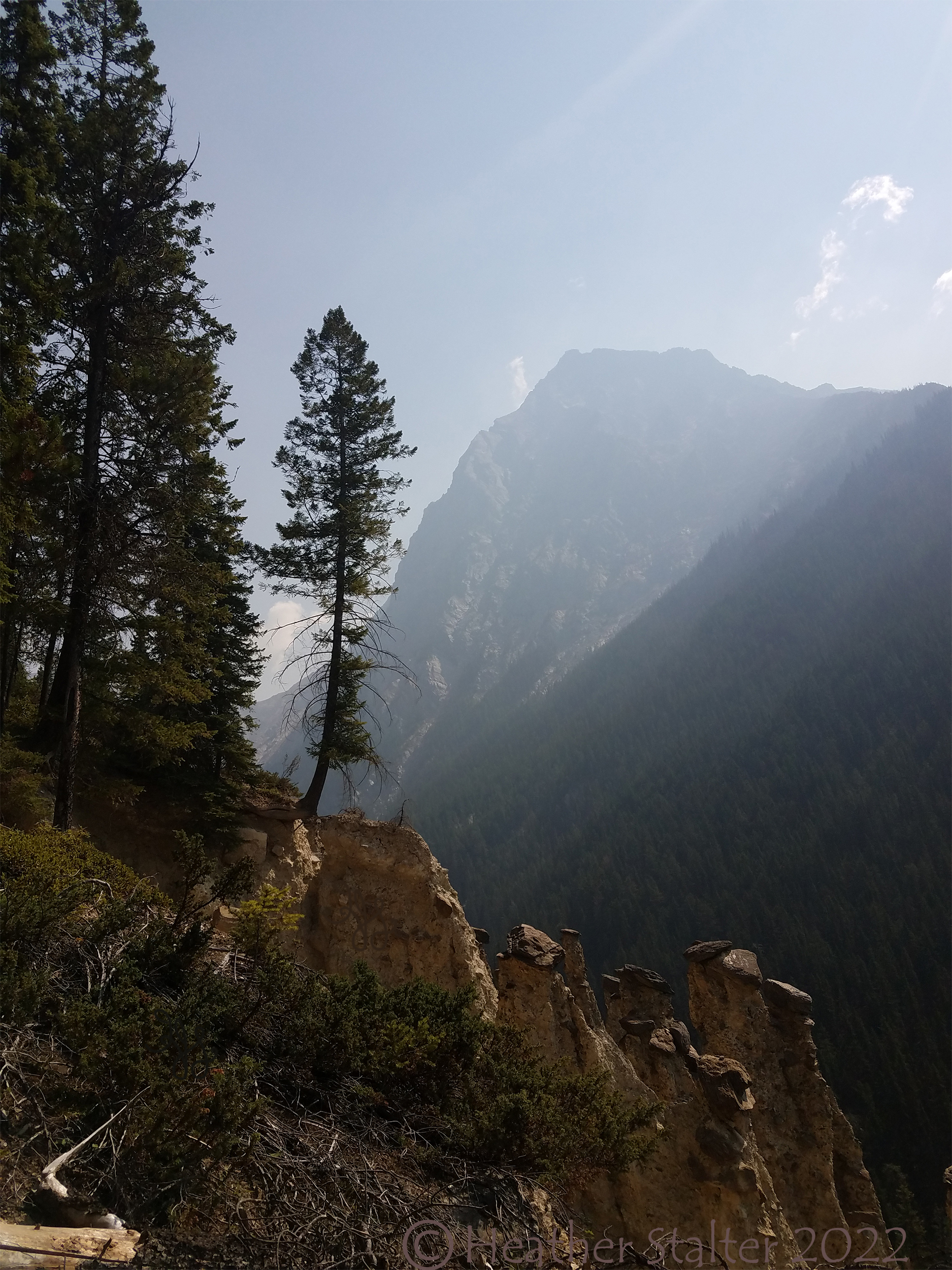 A lone tree balancing on a rock with hazy mountains in distance
