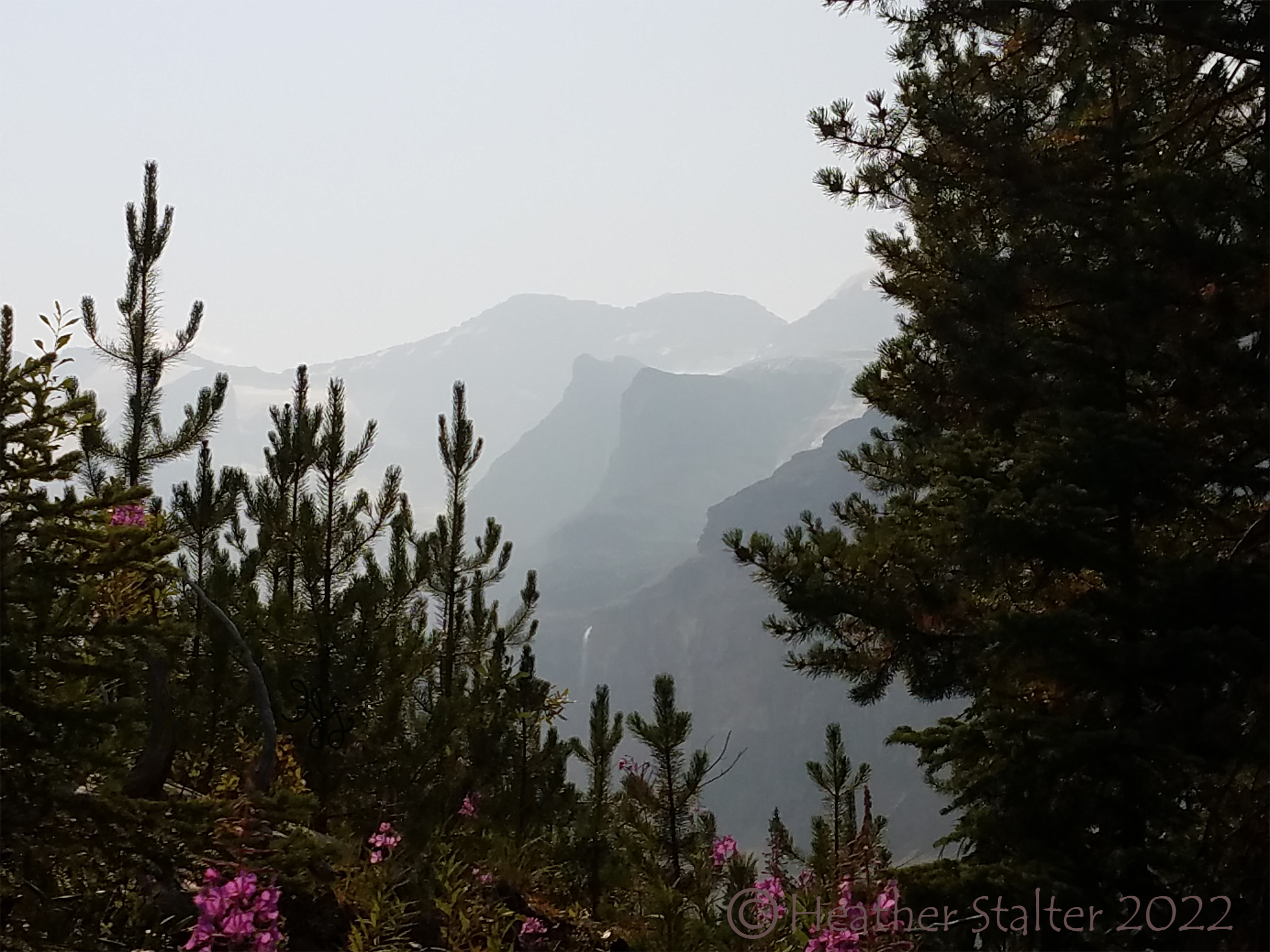 hazy mountains in distance with flowers and trees  framing the scene