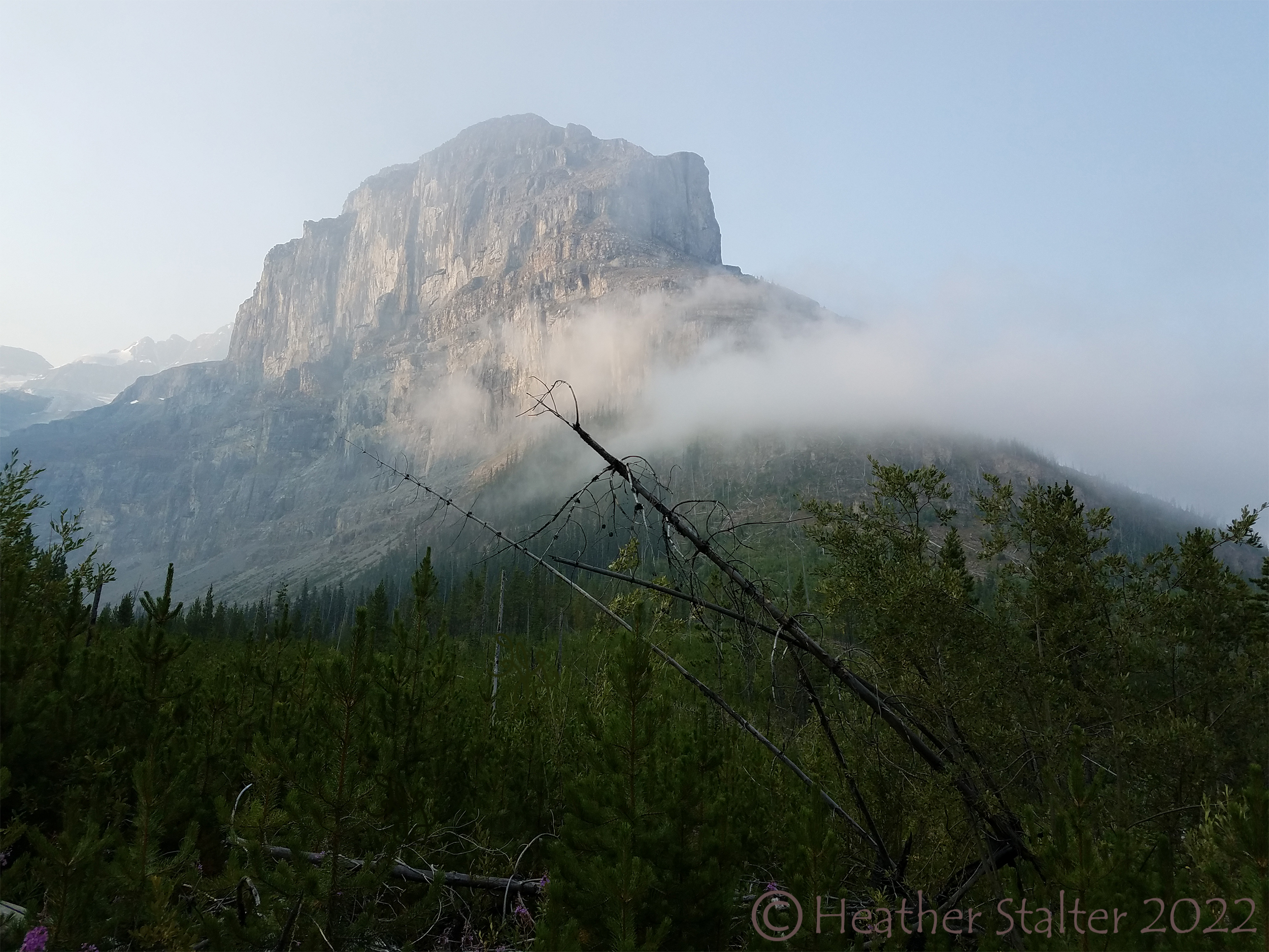 hazy rocky mountain with trees in forefront