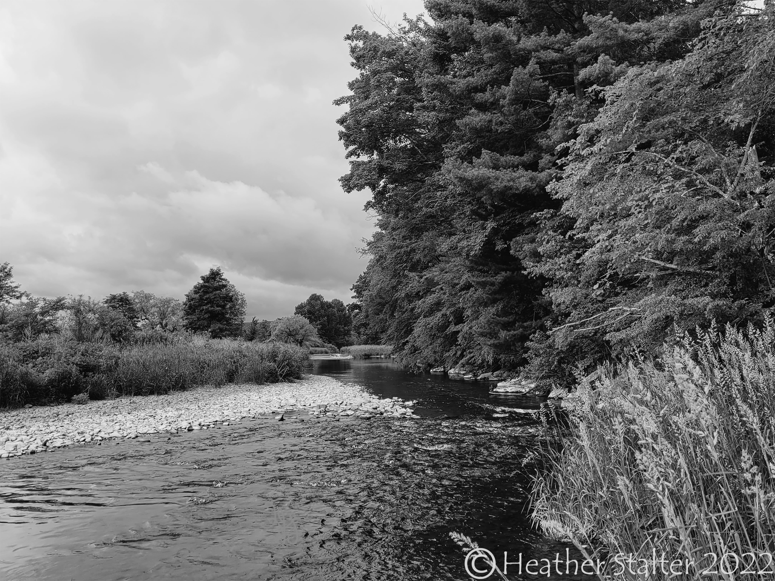 black and white creek with trees and plants and cloudy sky