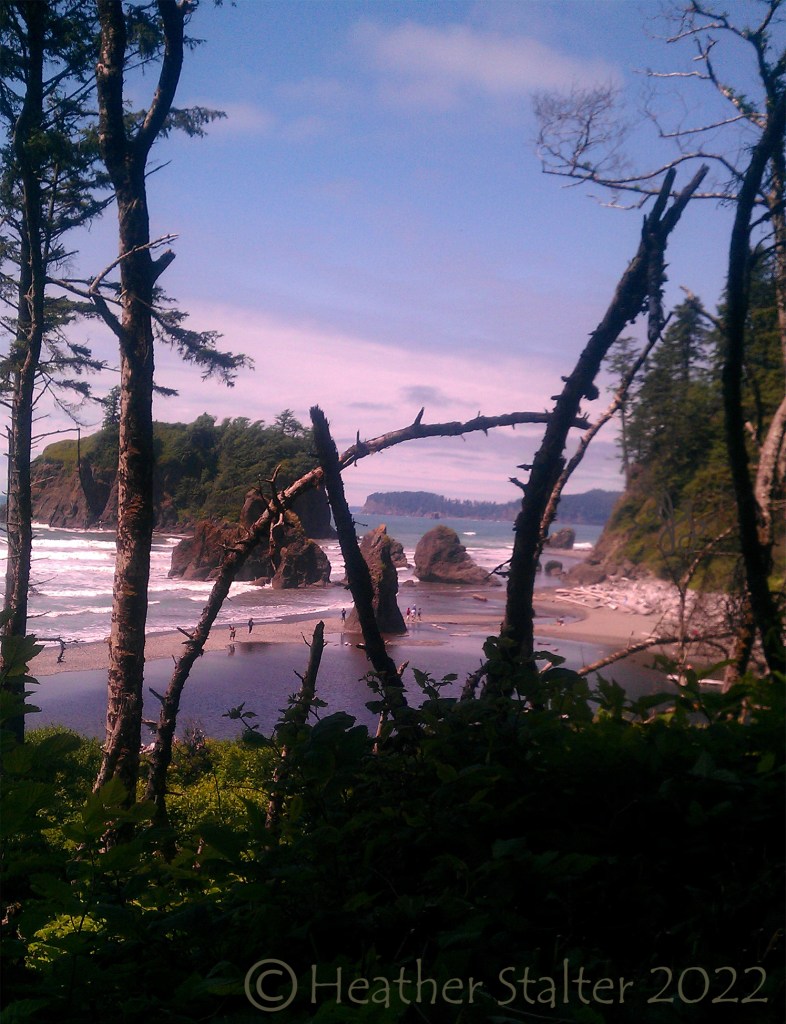 Beach with rock formations and people in distance, and dark trees in shadow in the foreground