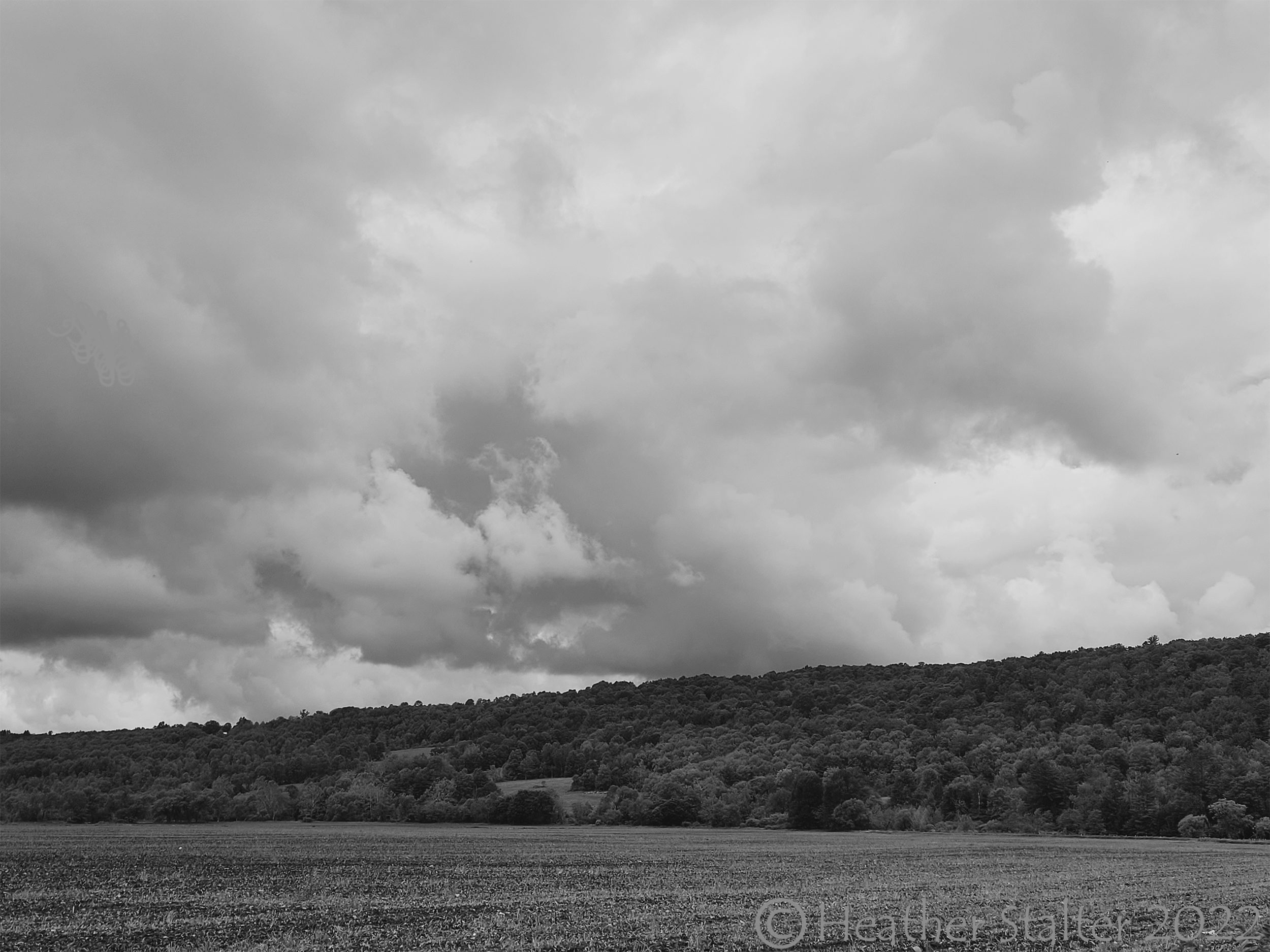 black and white photo of clouds, hills, and field