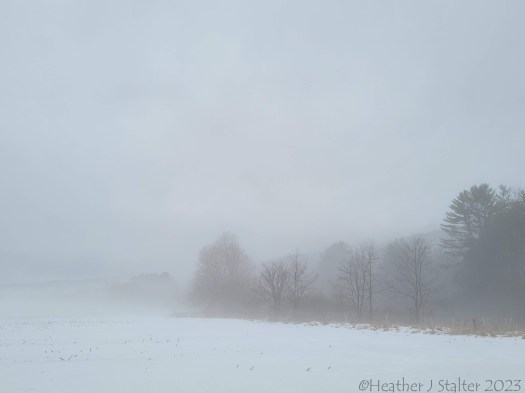 Photo of very foggy field, with foggy trees to the right and the sky almost indistinguishable from the ground.